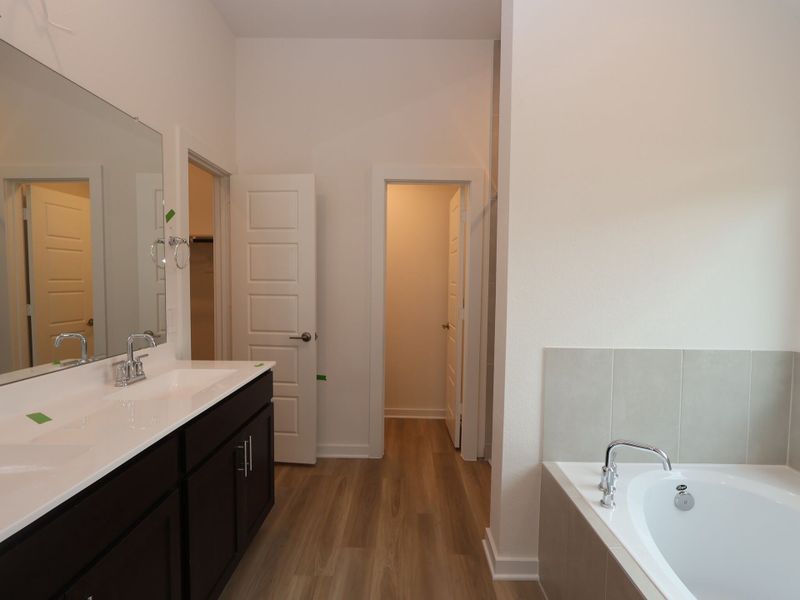 Owner's Bathroom