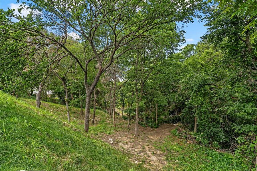 Natural landscape and outdoor views near  in Woodway (Image 32).