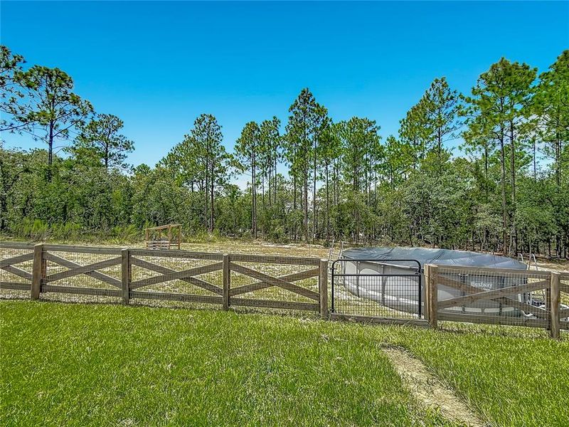 Natural landscape and outdoor views near  in Dunnellon (Image 52).