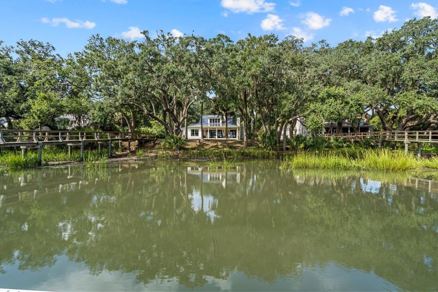 Natural landscape and outdoor views near  in Beaufort (Image 49).