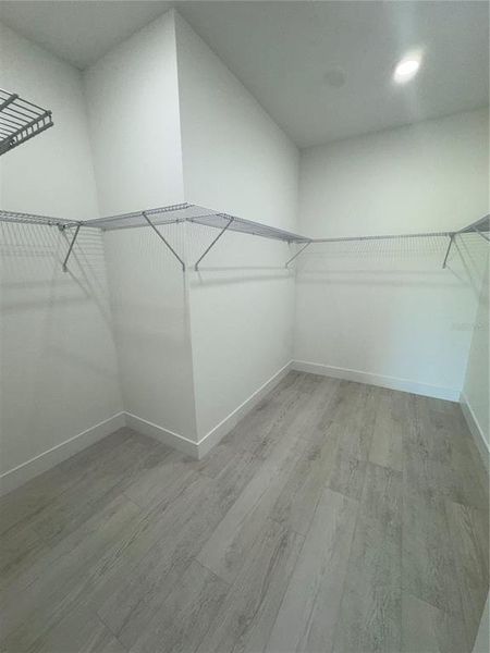 Spacious, unfurnished interior of a new home in , Dundee (Image 35). Spacious, unfurnished interior of a new home in , Dundee (Image 35).