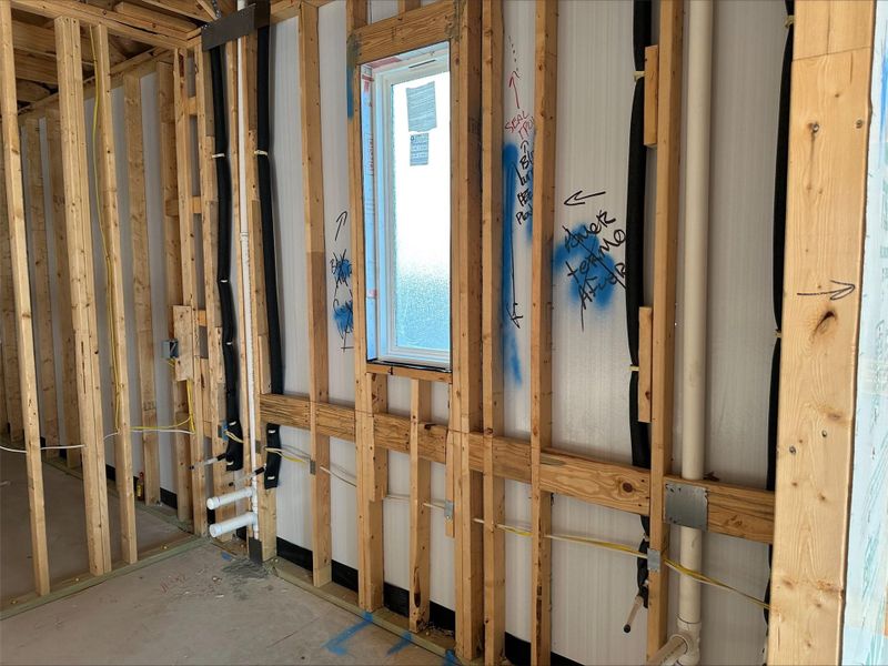 225 Wingstem Way ~ Under Construction