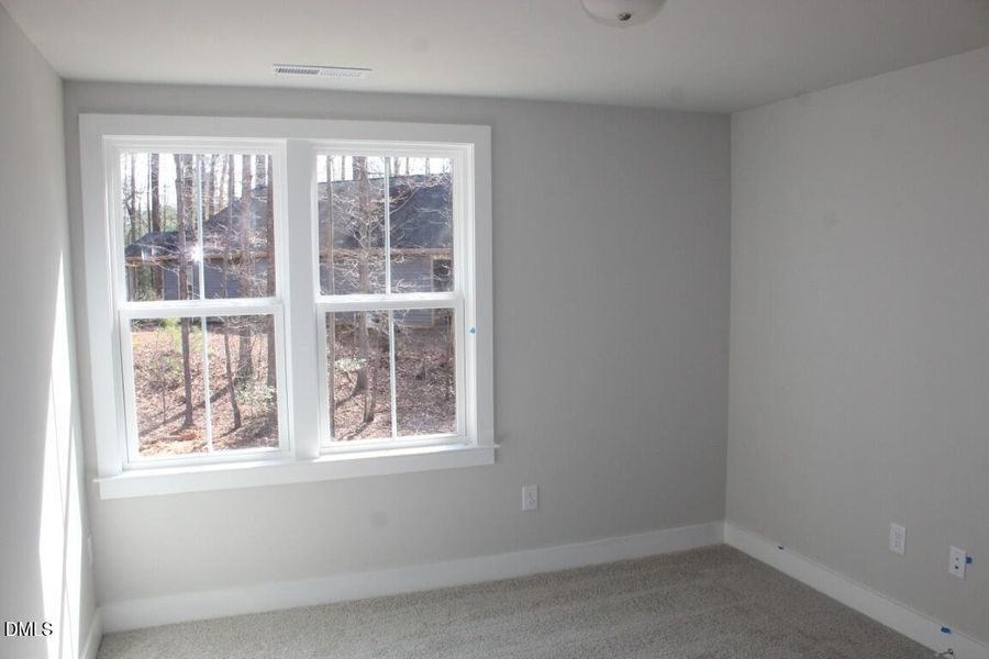 IMG_7450 (Medium) IMG_7450 (Medium)