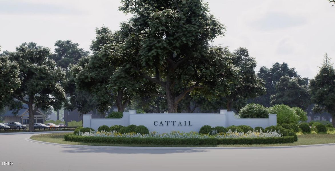 Screenshot 2025-02-01 at 11.00.23AM