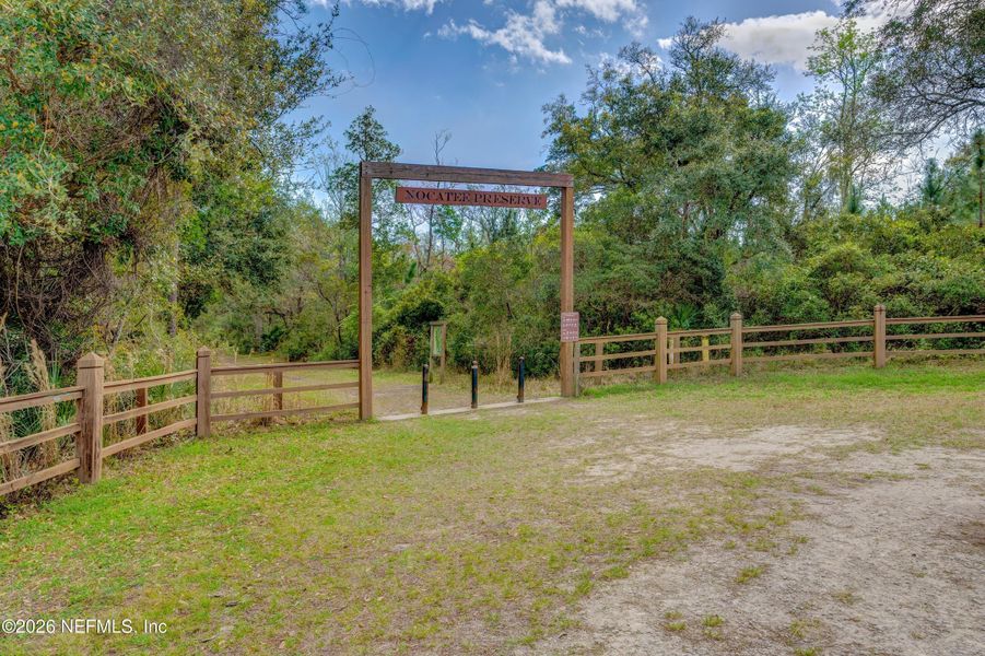 Natural landscape and outdoor views near Settler's Landing at Nocatee in Ponte Vedra (Image 94).