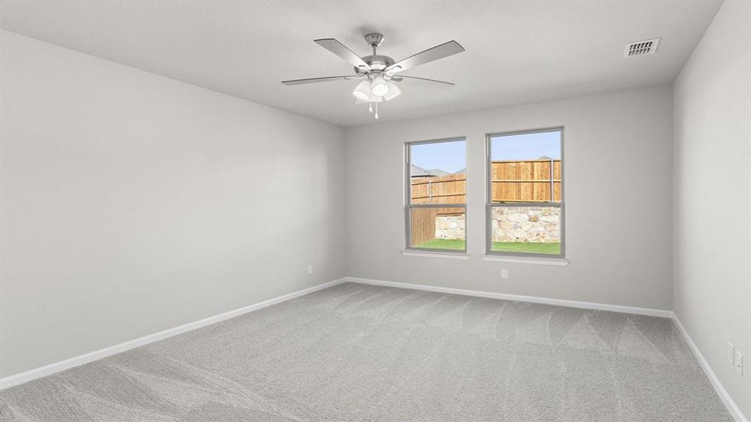 Cedar - Primary Representative Photo Cedar - Primary Representative Photo