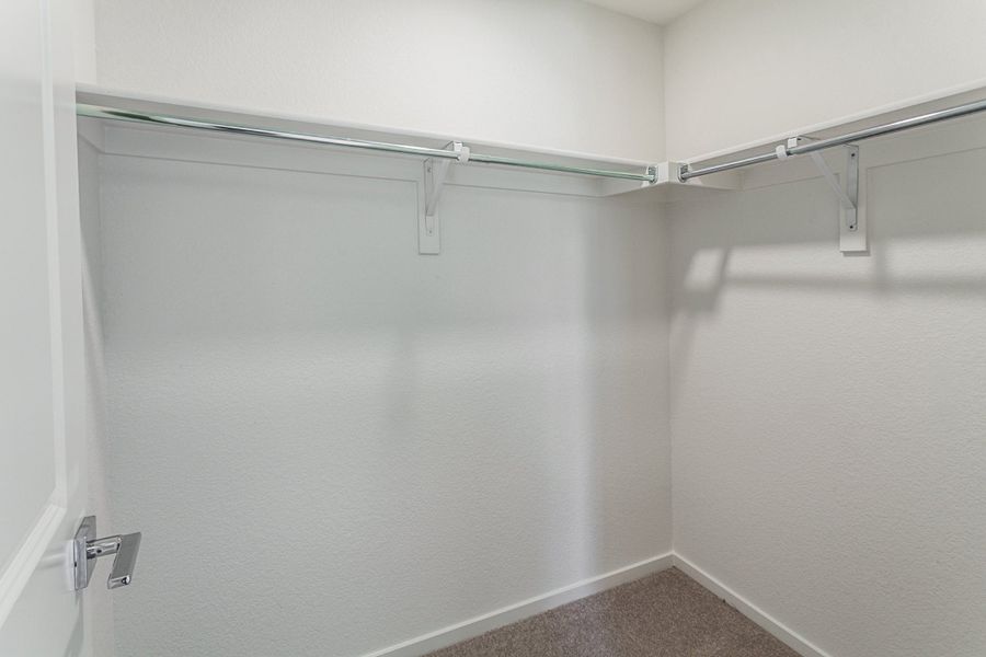 Spacious, unfurnished interior of a new home in Bloom, Fort Collins (Image 29).