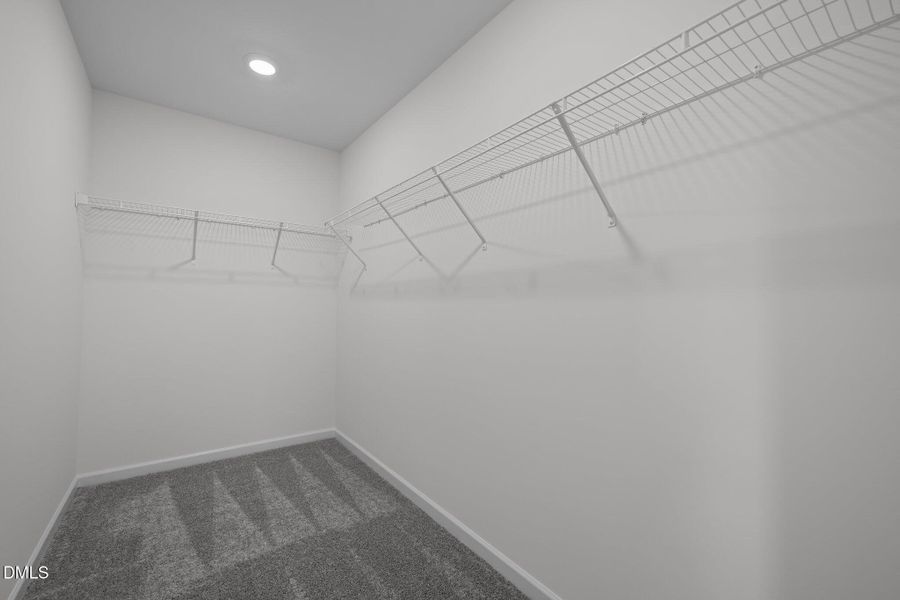 19-web-or-mls-5Z8A1901