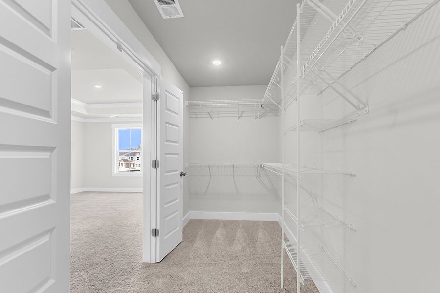 Spacious, unfurnished interior of a new home in Pineland Preserve, Summerville (Image 44).