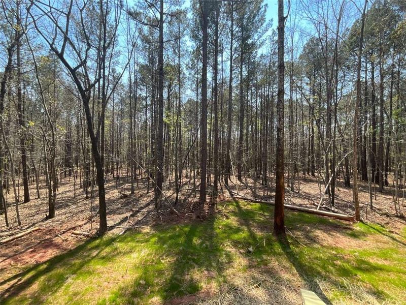 Natural landscape and outdoor views near  in Eatonton (Image 31).
