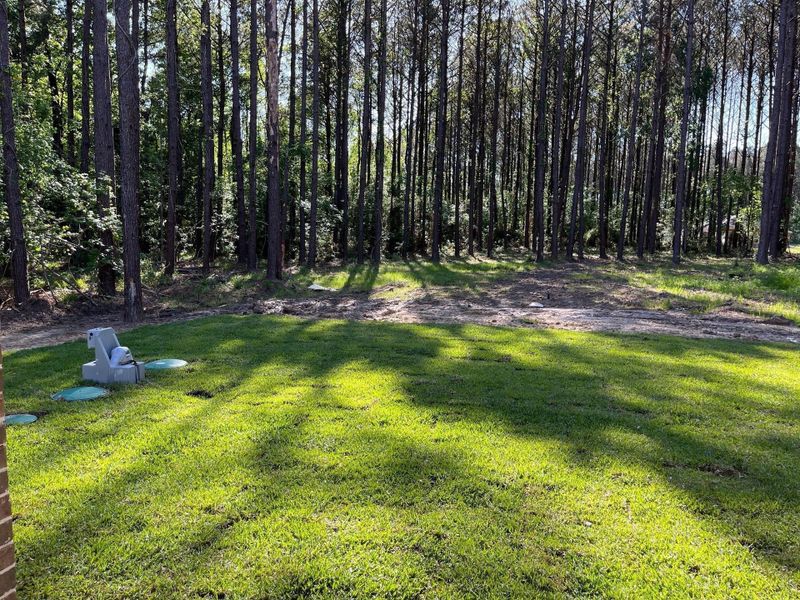 Natural landscape and outdoor views near Encino Estates in Dayton (Image 15).