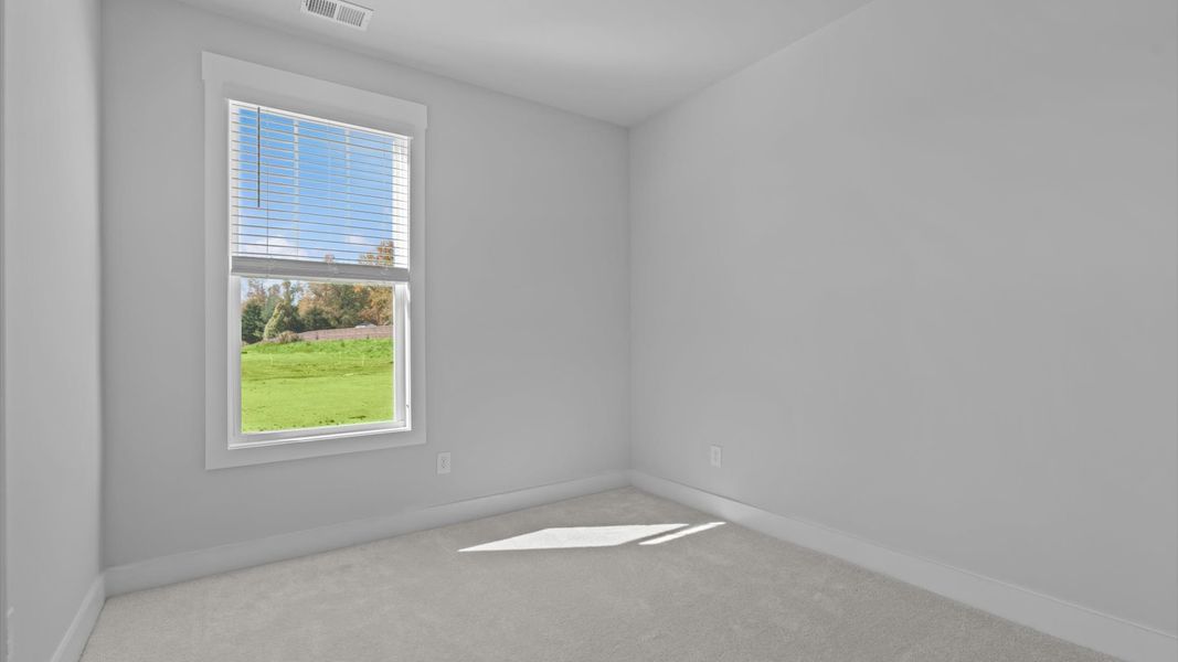 Elegant carpeted bedroom with walk-in closet and wall-to-wall windows offering natural brightness