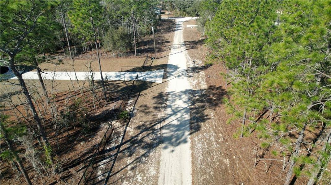 Natural landscape and outdoor views near  in Ocala (Image 34).