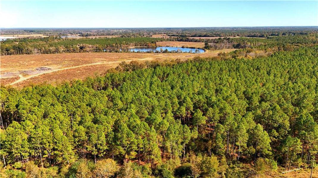Natural landscape and outdoor views near  in Chester (Image 8).