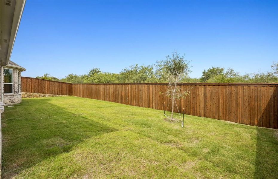 Fenced-in backyard