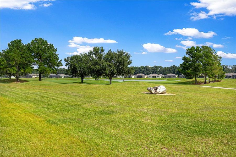 Natural landscape and outdoor views near in Ocala (Image 57). Natural landscape and outdoor views near in Ocala (Image 57).