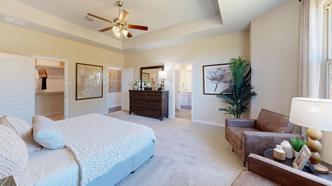 Carpeted bedroom with a spacious closet, a tray ceiling, and ceiling fan Carpeted bedroom with a spacious closet, a tray ceiling, and ceiling fan