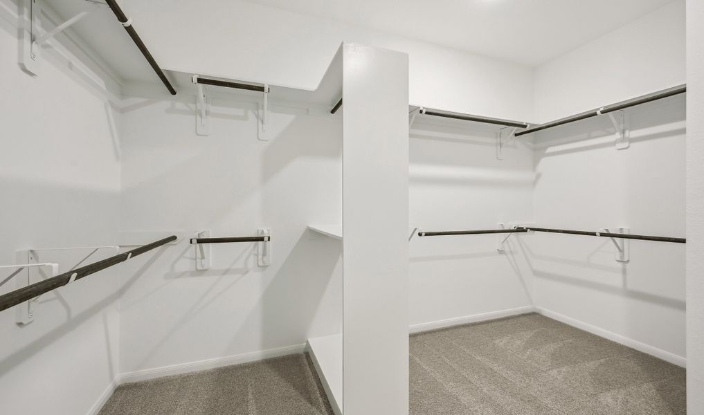 Primary walk-in closet