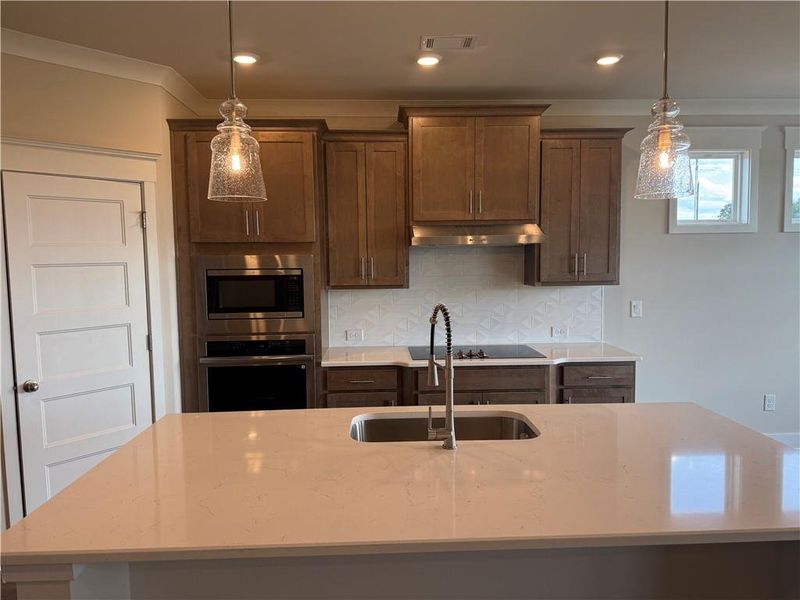 Close-up of interior finishes inside a home in Fowler Farms, Auburn (Image 12).