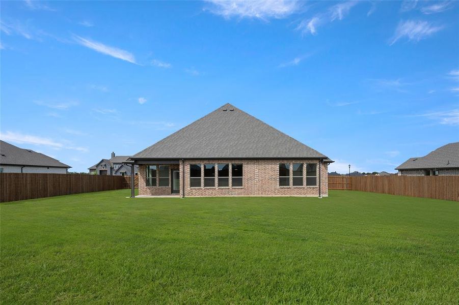 117 Grey Wolf- Back-1