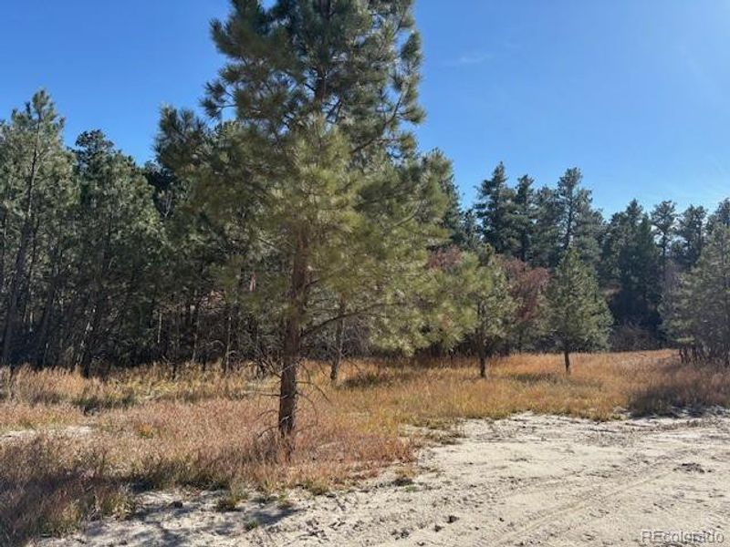 Natural landscape and outdoor views near in Monument (Image 4). Natural landscape and outdoor views near in Monument (Image 4).