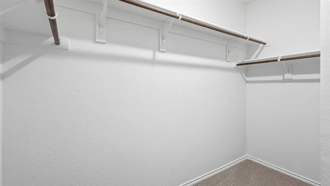 Spacious closet featuring carpet floors