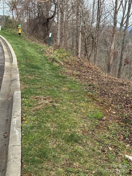 Natural landscape and outdoor views near  in Asheville (Image 7).