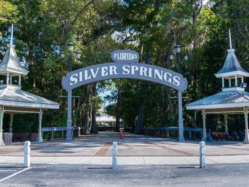 Silver Springs Silver Springs