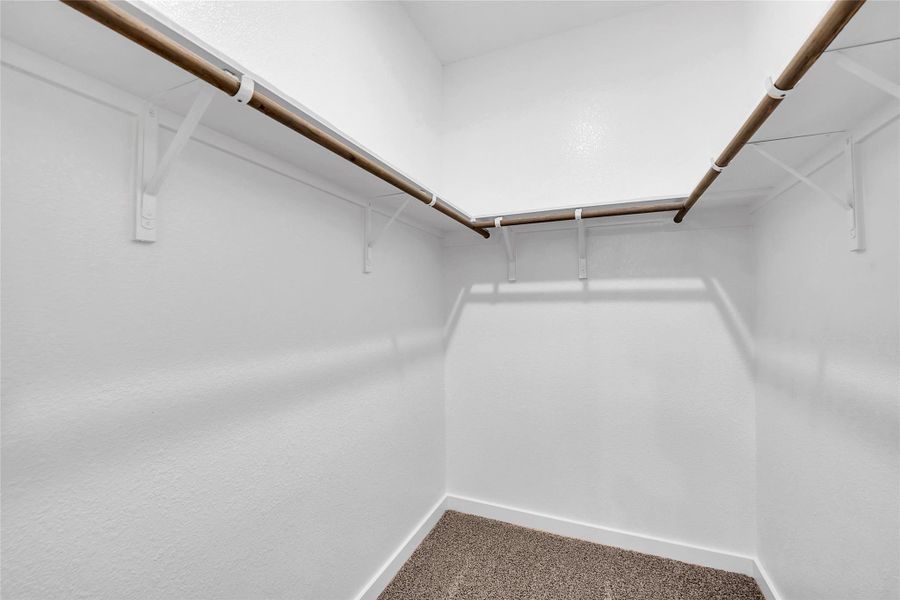 Walk in closet with carpet floors