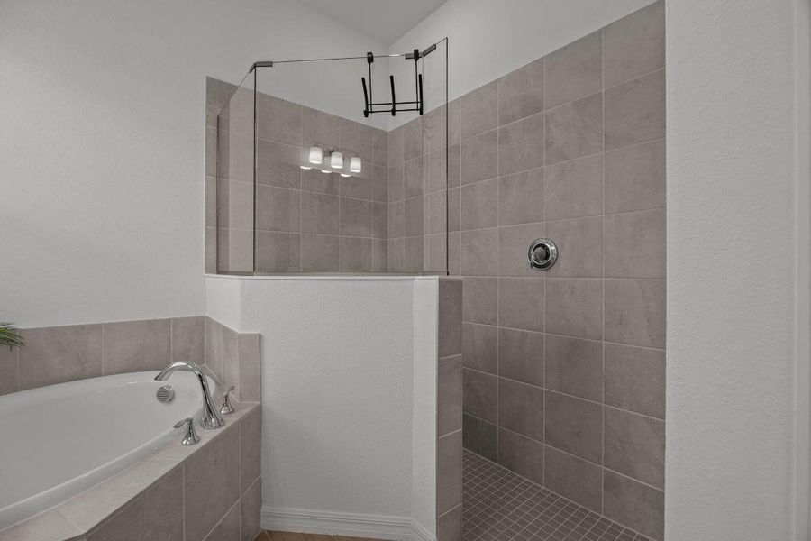 35-web-or-mls-941A6397