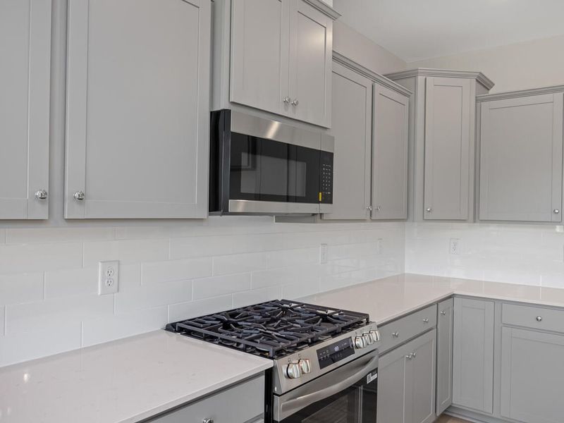 Furnished interior view inside a new home in Springvale, Willow Spring (Image 4).