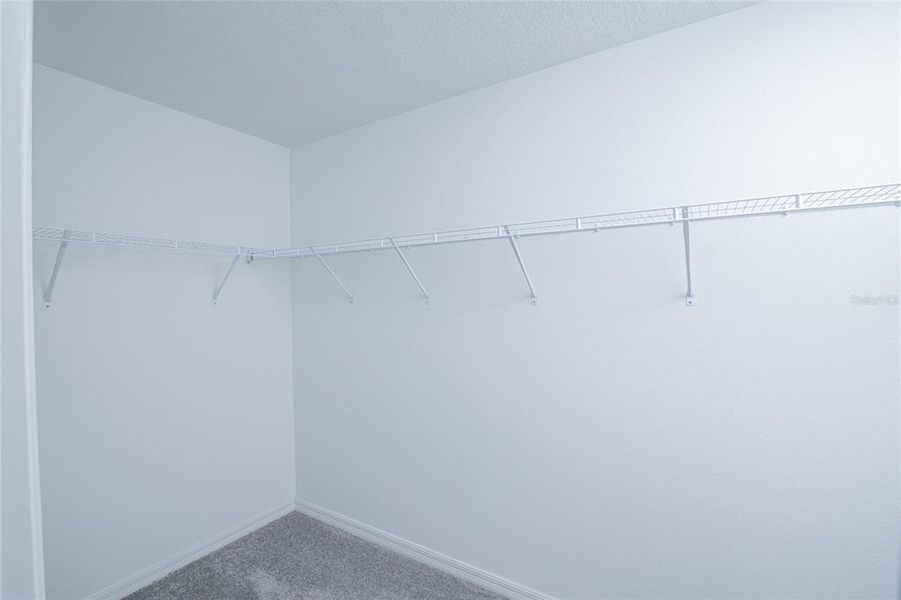 Spacious, unfurnished interior of a new home in Saddle Creek Preserve: The Manors II, Lakeland (Image 24).