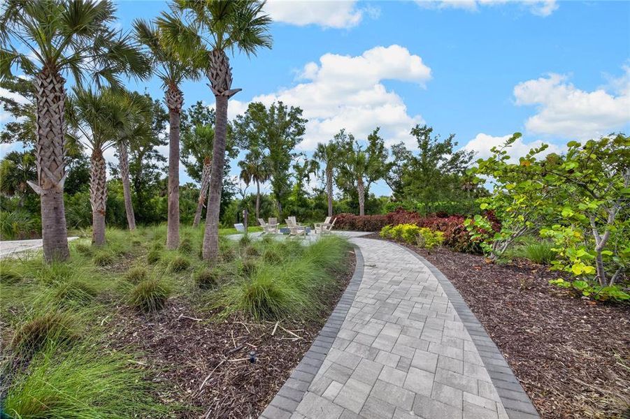 Natural landscape and outdoor views near  in Nokomis (Image 71).