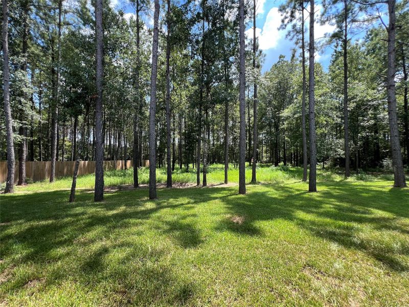 Natural landscape and outdoor views near in Conroe (Image 48). Natural landscape and outdoor views near in Conroe (Image 48).