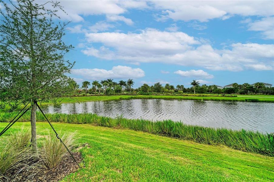Natural landscape and outdoor views near Esplanade at Azario Lakewood Ranch in Lakewood Ranch (Image 53). Natural landscape and outdoor views near Esplanade at Azario Lakewood Ranch in Lakewood Ranch (Image 53).