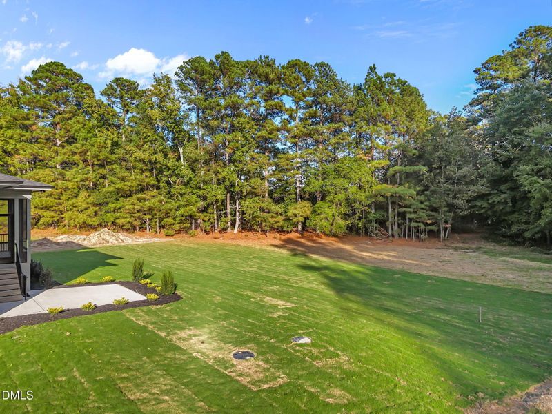 5-web-or-mls-DJI_20251003052619_0447_D