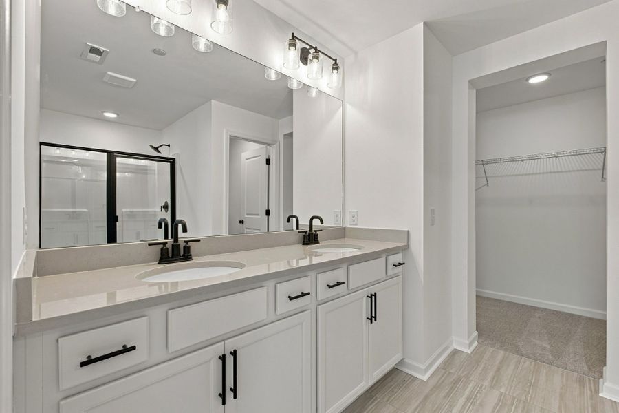 Owner's Bath