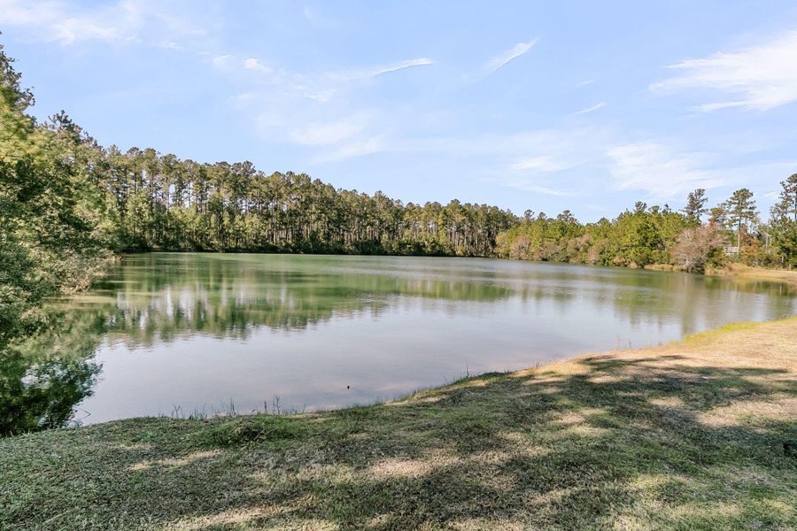 Natural landscape and outdoor views near  in Huger (Image 43).