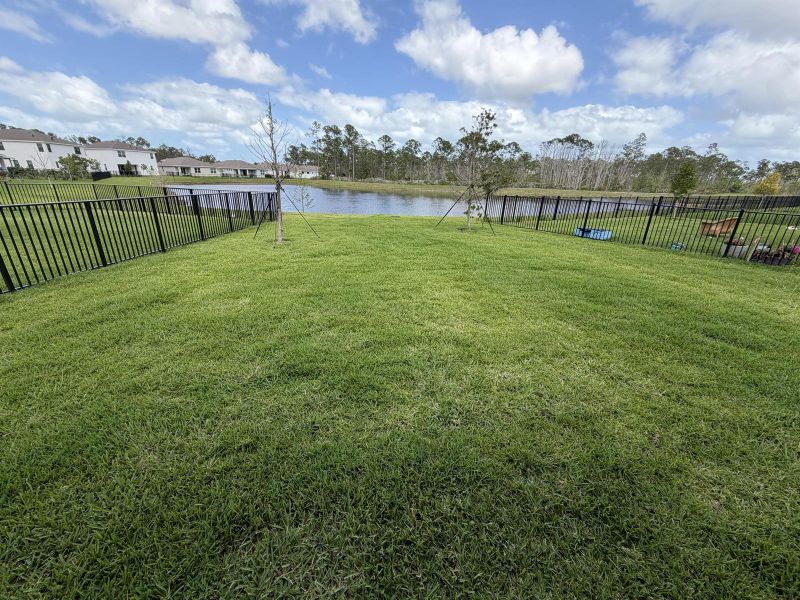 Backyard_Pond view Backyard_Pond view