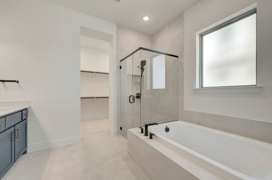 Owner's Bath