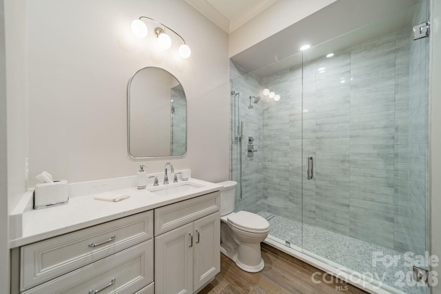 Lower level bathroom