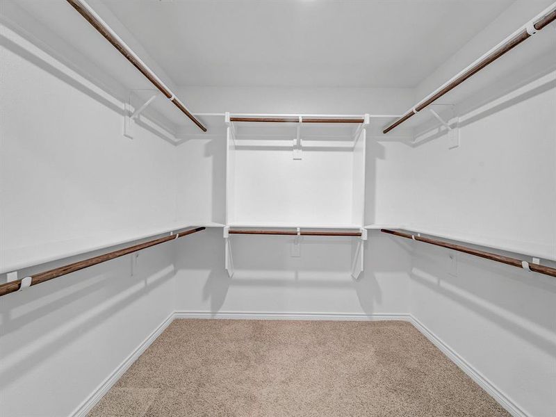 Spacious closet featuring carpet flooring