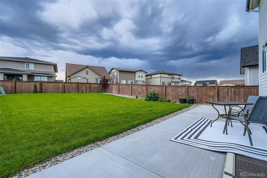 Recently landscaped backyard!