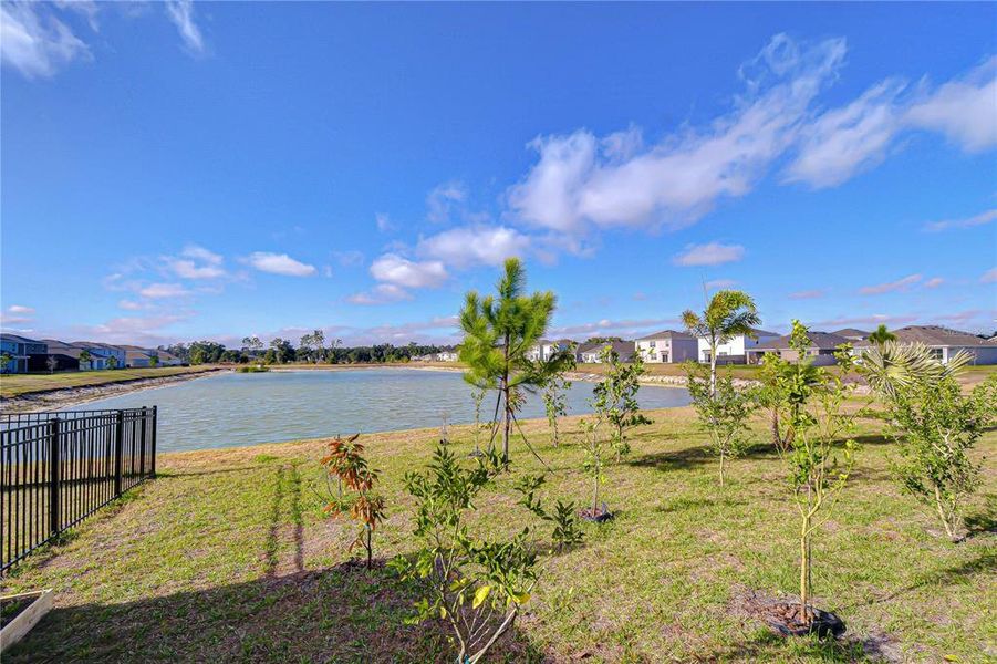 Natural landscape and outdoor views near in Zephyrhills (Image 70). Natural landscape and outdoor views near in Zephyrhills (Image 70).