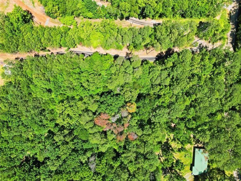 Natural landscape and outdoor views near  in White (Image 50).