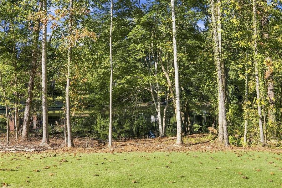 Natural landscape and outdoor views near  in Lawrenceville (Image 44).