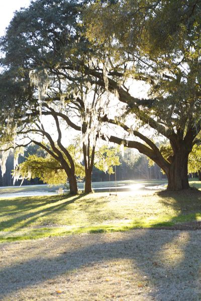 Image 31 of a home in Waterloo Estates.