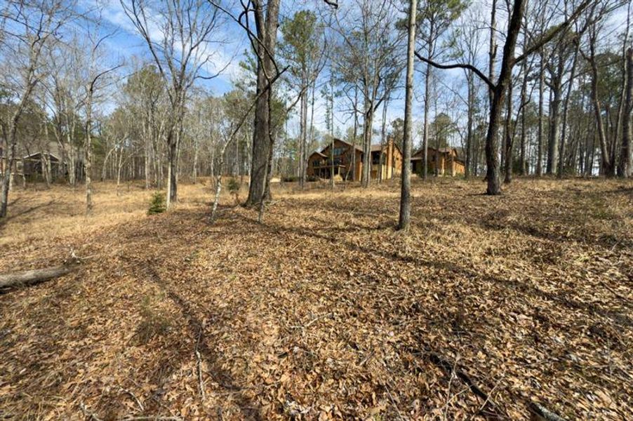 Natural landscape and outdoor views near  in Newnan (Image 72).