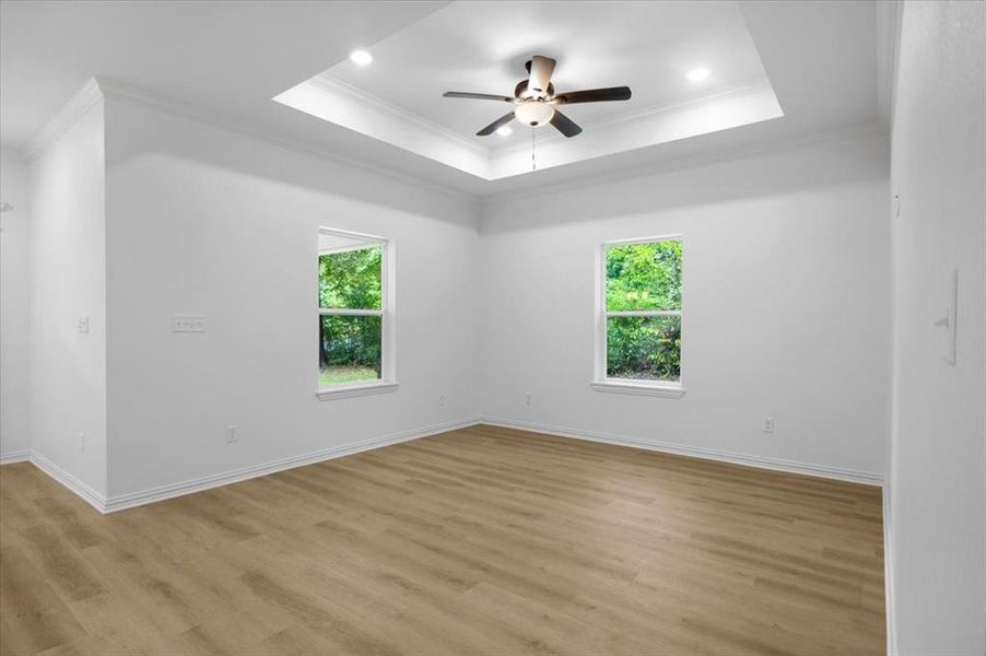 Empty room featuring crown molding, light wood-type flooring, plenty of natural light, a ceiling fan, and a raised ceiling