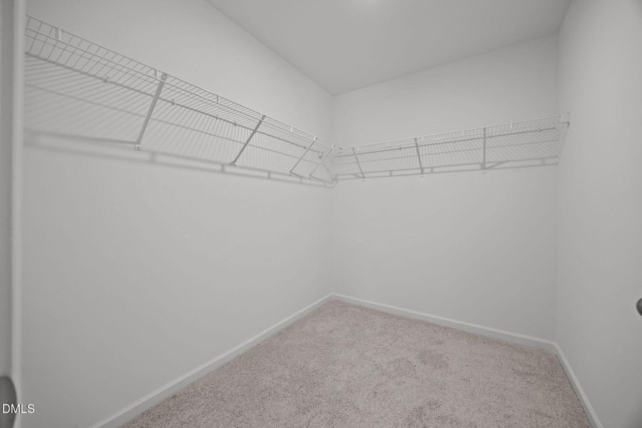 38-web-or-mls-6S8A4084